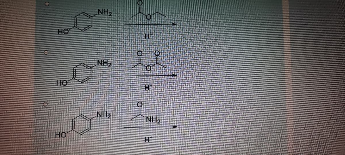 NH2
HO
NH
HO
NH,
NH2
HO
