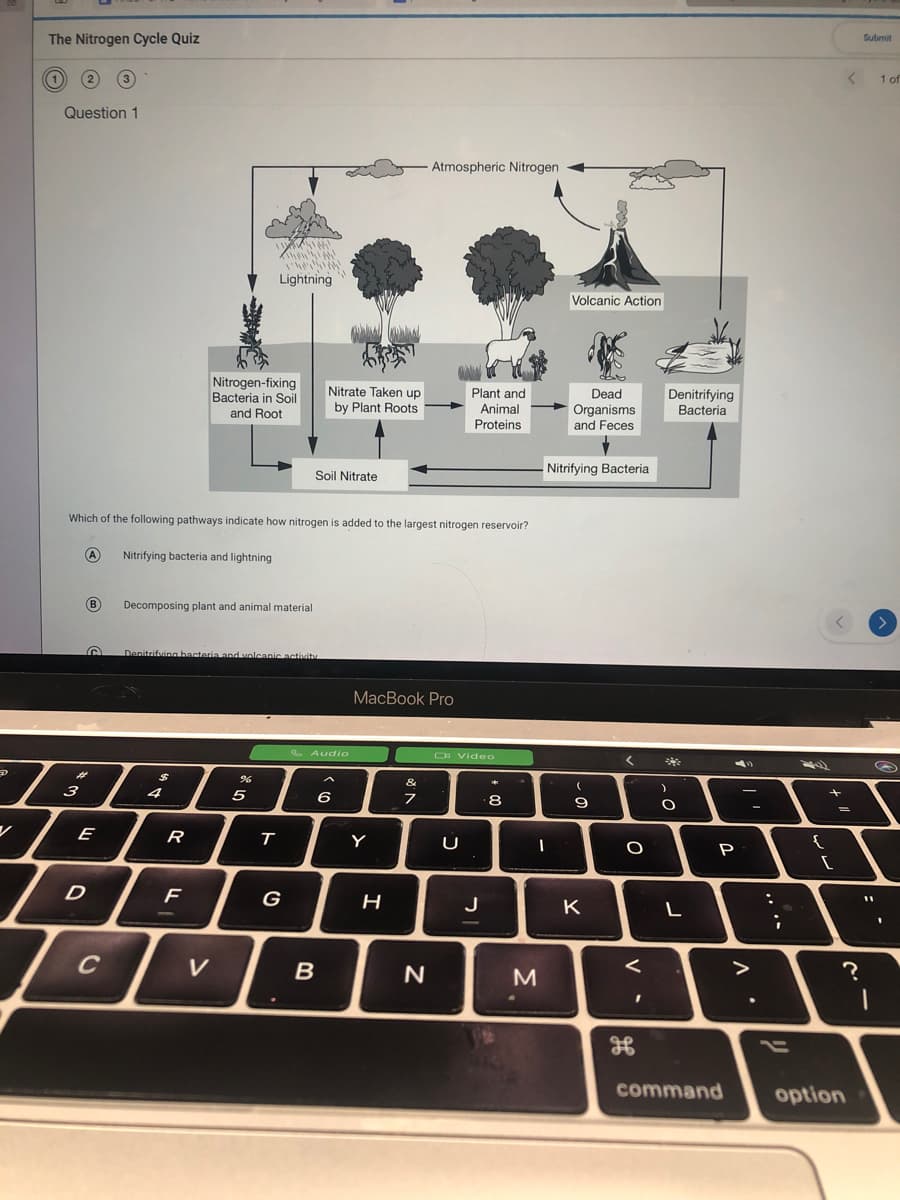 The Nitrogen Cycle Quiz
Submit
1 of
Question 1
Atmospheric Nitrogen
Lightning
Volcanic Action
Nitrogen-fixing
Bacteria in Soil
and Root
Nitrate Taken up
Plant and
Denitrifying
Bacteria
Dead
by Plant Roots
Animal
Organisms
and Feces
Proteins
Nitrifying Bacteria
Soil Nitrate
Which of the following pathways indicate how nitrogen is added to the largest nitrogen reservoir?
A
Nitrifying bacteria and lightning
B)
Decomposing plant and animal material
Denitrifving bacteria and wolcanic activit
МacВook Pro
e Audio
O Video
वयो
24
&
*
3
4
5
7
8
9
E
R
Y
P
D
G
H
J
K
L
C
V
B
command
option
.. .-
