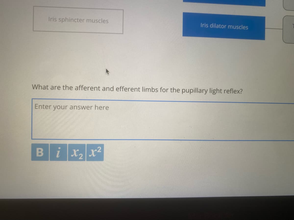 Iris sphincter muscles
Iris dilator muscles
What are the afferent and efferent limbs for the pupillary light reflex?
Enter your answer here
Bix, x2
