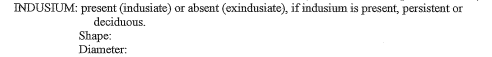 INDUSIUM: present (indusiate)
deciduous.
or absent (exindusiate), if indusium is present, persistent or
Shape:
Diameter:
