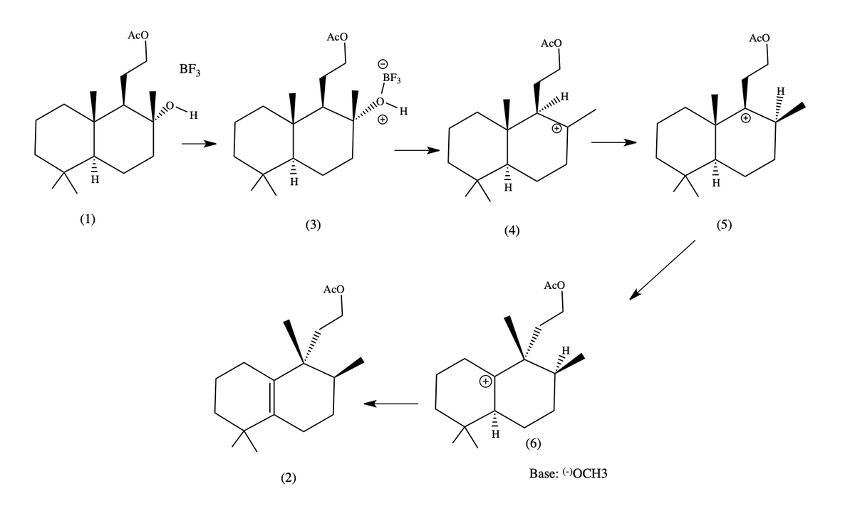 AcO
AcO
AcO
AcO
BF3
BF3
H.
H.
(1)
(3)
(4)
(5)
AcO
AcO
(2)
Base: (-)OCH3
