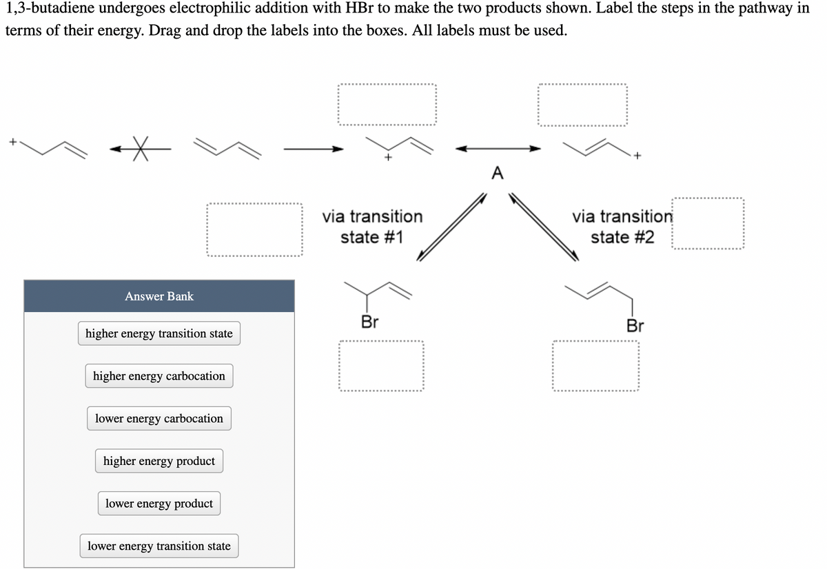 1,3-butadiene undergoes electrophilic addition with HBr to make the two products shown. Label the steps in the pathway in
terms of their energy. Drag and drop the labels into the boxes. All labels must be used.
+
+
A
via transition
via transition
state #1
state #2
Answer Bank
Br
Br
higher energy transition state
higher energy carbocation
lower
energy
carbocation
higher energy product
lower energy product
lower energy transition state
