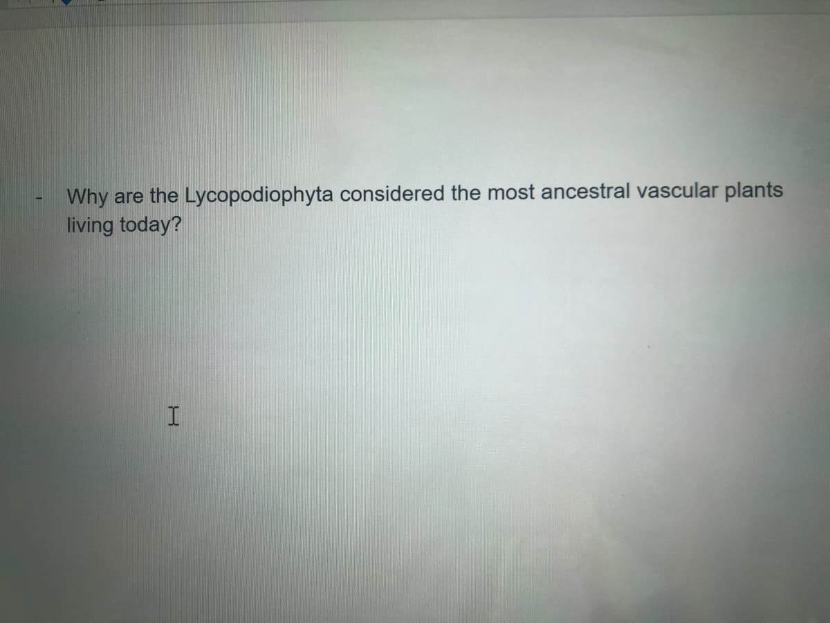 Why
are the Lycopodiophyta considered the most ancestral vascular plants
living today?
