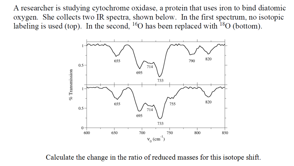 A researcher is studying cytochrome oxidase, a protein that uses iron to bind diatomic
oxygen. She collects two IR spectra, shown below. In the first spectrum, no isotopic
labeling is used (top). In the second, 160 has been replaced with 180 (bottom).
820
655
790
0.5-
714
695
733
820
655
755
0.5-
714
695
733
600
650
700
750
800
850
V, (cm")
Calculate the change in the ratio of reduced masses for this isotope shift.
% Transmission
