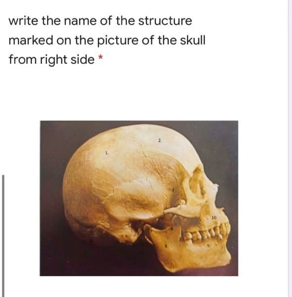 write the name of the structure
marked on the picture of the skull
from right side
10
