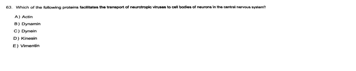 **Question 63:**

**Which of the following proteins facilitates the transport of neurotropic viruses to cell bodies of neurons in the central nervous system?**

A) Actin

B) Dynamin

C) Dynein

D) Kinesin

E) Vimentin