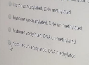 O histones acetylated, DNA methylated
O histones un-acetylated, DNA un-methylated
O histones acetylated, DNA un-methylated
histones un-acetylated, DNA methylated
