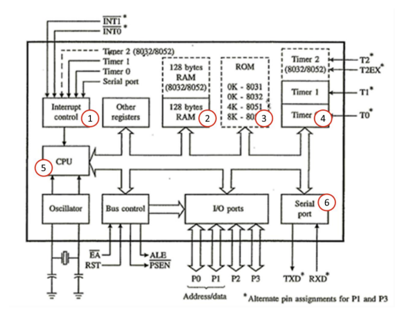 INTI
INTO
Timer 2 (8032/8052)
Timer 1
Timer 0
128 bytes
ROM
RAM
Timer 2
(8032/8052)
-T2
-T2EX
Serial port
(8032/8052) OK-8031
Timer 1
Interrupt
Other
128 bytes
control (1) registers
RAM (2
OK 8032
4K 8051
SK-803
Timer (4
CPU
5
Oscillator
Bus control
I/O ports
Serial (6)
port
H
EA-
RST
ALE
PSEN
PO P1 P2 P3
TXD RXD
Address/data
"Alternate pin assignments for Pl and P3