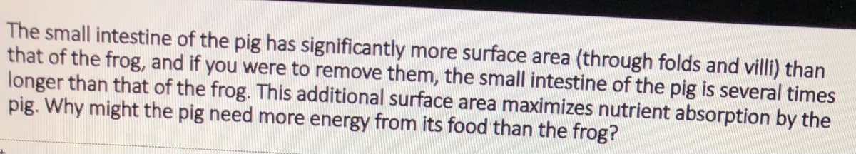 The small intestine of the pig has significantly more surface area (through folds and villi) than
that of the frog, and if you were to remove them, the small intestine of the pig is several times
longer than that of the frog. This additional surface area maximizes nutrient absorption by the
pig. Why might the pig need more energy from its food than the frog?
