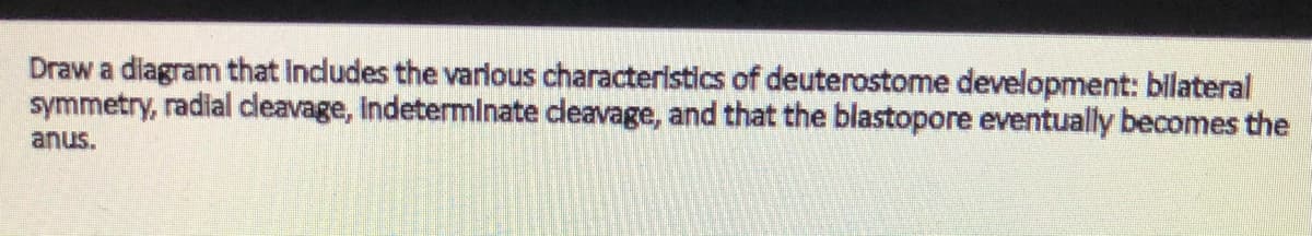 Draw a diagram that Incdludes the varlous characteristics of deuterostome development: bilateral
symmetry, radial cleavage, Indetermlnate cleavage, and that the blastopore eventually becomes the
anus.
