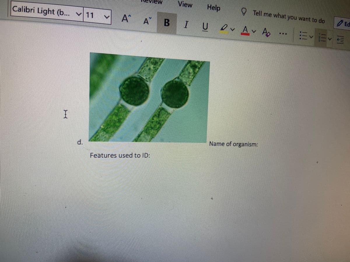 View
Help
Tell me what you want to do
Calibri Light (b... 11
A A B
I UDv Av Ao
I
Name of organism:
d.
Features used to ID;
