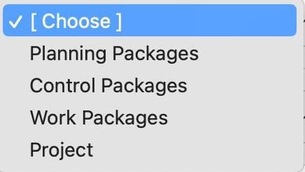 ✓ [Choose ]
Planning Packages
Control Packages
Work Packages
Project