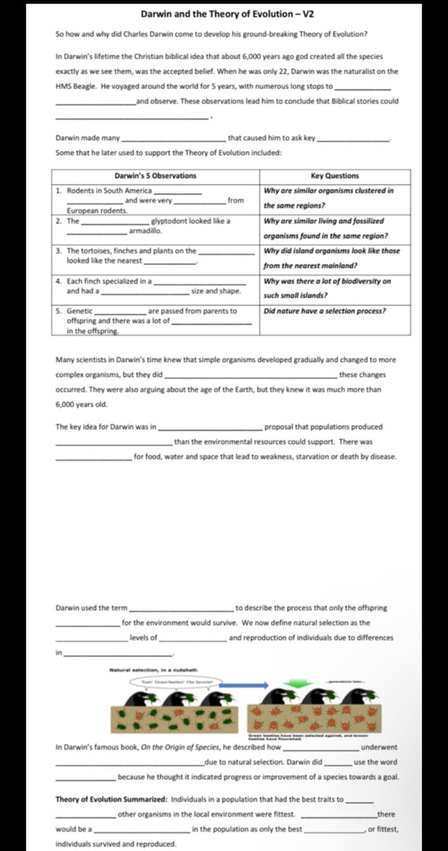 Darwin and the Theory of Evolution - V2
So how and why did Charles Darwin come to develop his ground-breaking Theory of Evolution?
In Darwin's lifetime the Christian biblical idea that about 6,000 years ago god created all the species
exactly as we see them, was the accepted belief. When he was only 22, Darwin was the naturalist on the
HMS Beagle. He voyaged around the world for 5 years, with numerous long stops to
__and observe. These observations lead him to conclude that Biblical stories could
Darwin made many
that caused him to ask key.
Some that he later used to support the Theory of Evolution included:
Darwin's 5 Observations
Key Questions
1. Rodents in South America,
and were very
from
Why are similar organisms clustered in
the same regions?
European rodents.
2. The
Why are similar living and fossilized
glyptodont looked like a
armadillo.
3. The tortoises, finches and plants on the
looked like the nearest,
organisms found in the same region?
Why did island organisms look like those
from the nearest mainland?
4. Each finch specialized in a
and had a
size and shape.
Why was there a lot of biodiversity on
such small islands?
5. Genetic
are passed from parents to
Did nature have a selection process?
offspring and there was a lot of
in the offspring.
Many scientists in Darwin's time knew that simple organisms developed gradually and changed to more
complex organisms, but they did
these changes
occurred. They were also arguing about the age of the Earth, but they knew it was much more than
6,000 years old.
The key idea for Darwin was in,
proposal that populations produced
than the environmental resources could support. There was
for food, water and space that lead to weakness, starvation or death by disease.
Darwin used the term,
to describe the process that only the offspring
for the environment would survive. We now define natural selection as the
levels of
and reproduction of individuals due to differences
in
Natural selection, in a nutshell:
Y Greenbe Our
***
In Darwin's famous book, On the Origin of Species, he described how
underwent
use the word
due to natural selection. Darwin did
because he thought it indicated progress or improvement of a species towards a goal.
there
Theory of Evolution Summarized: Individuals in a population that had the best traits to
other organisms in the local environment were fittest.
would be a
individuals survived and reproduced.
in the population as only the best,
, or fittest,