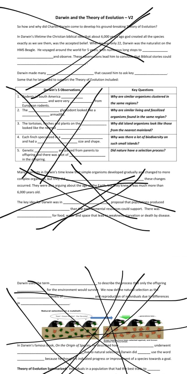 Darwin and the Theory of Evolution - V2
So how and why did Charles Darwin come to develop his ground-breaking Theory of Evolution?
In Darwin's lifetime the Christian biblical idea that about 6,000 yoago god created all the species
exactly as we see them, was the accepted belief. When he was only 22, Darwin was the naturalist on the
HMS Beagle. He voyaged around the world for 5 years, with numerous long stops to
and observe. These observations lead him to conclude that Biblical stories could
Darwin made many
that caused him to ask key
Some that he laterased to support the Theory of Evolution included:
Darwin's 5 Observations
Key Questions
1. Rodents South America,
and were very,
from
Why are similar organisms clustered in
the same regions?
European rodents.
2. The
Why are similar living and fossilized
glyptodont looked like a
armadill
organisms found in the same region?
3. The tortoises, oches and plants on the
looked like the nearest,
Why did island organisms look like those
from the nearest mainland?
4. Each finch specialized a
and had a
size and shape.
Why was there a lot of biodiversity on
such small islands?
5. Genetic,
ar passed from parents to
Did nature have a selection process?
offspring and there was a lot of
in the offspring.
Many kiemists in Darwin's time knew that simple organisms developed gradually and changed to more
complex orgams, but they did
these changes
occurred. They were also arguing about the age the Earth buey knew was much more than
6,000 years old.
The key idea for Darwin was in
proposal that populations produced
thane enmental resources could support. There was
for food, w and space that lead to weakness starvation or death by disease.
Darwin used the term
to describe the process that only the offspring
for the environment would survive. We now defne natural selection as the
Nevels of
and reproduction of individuals due to differences
in
Natural selection in a nutshell
r
始迹
安齊
Green have been selected against, and brown
beetles havours
In Darwin's famous book, On the Origin of Species described how
Theory of Evolution Suomarized. Inciduals in a population that had the best trans to
underwent
use the word
dueto natural selection Darwin did
because he thought indicated progress or improvement of a species towards a goal.