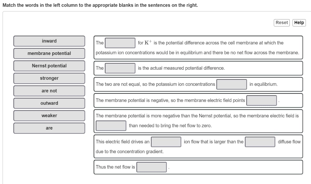 Match the words in the left column to the appropriate blanks in the sentences on the right.
Reset
Help
inward
The
for K+ is the potential difference across the cell membrane at which the
membrane potential
potassium ion concentrations would be in equilibrium and there be no net flow across the membrane.
Nernst potential
The
is the actual measured potential difference.
stronger
The two are not equal, so the potassium ion concentrations
in equilibrium.
are not
The membrane potential is negative, so the membrane electric field points
outward
weaker
The membrane potential is more negative than the Nernst potential, so the membrane electric field is
than needed to bring the net flow to zero.
are
This electric field drives an
ion flow that is larger than the
diffuse flow
due to the concentration gradient.
Thus the net flow is
