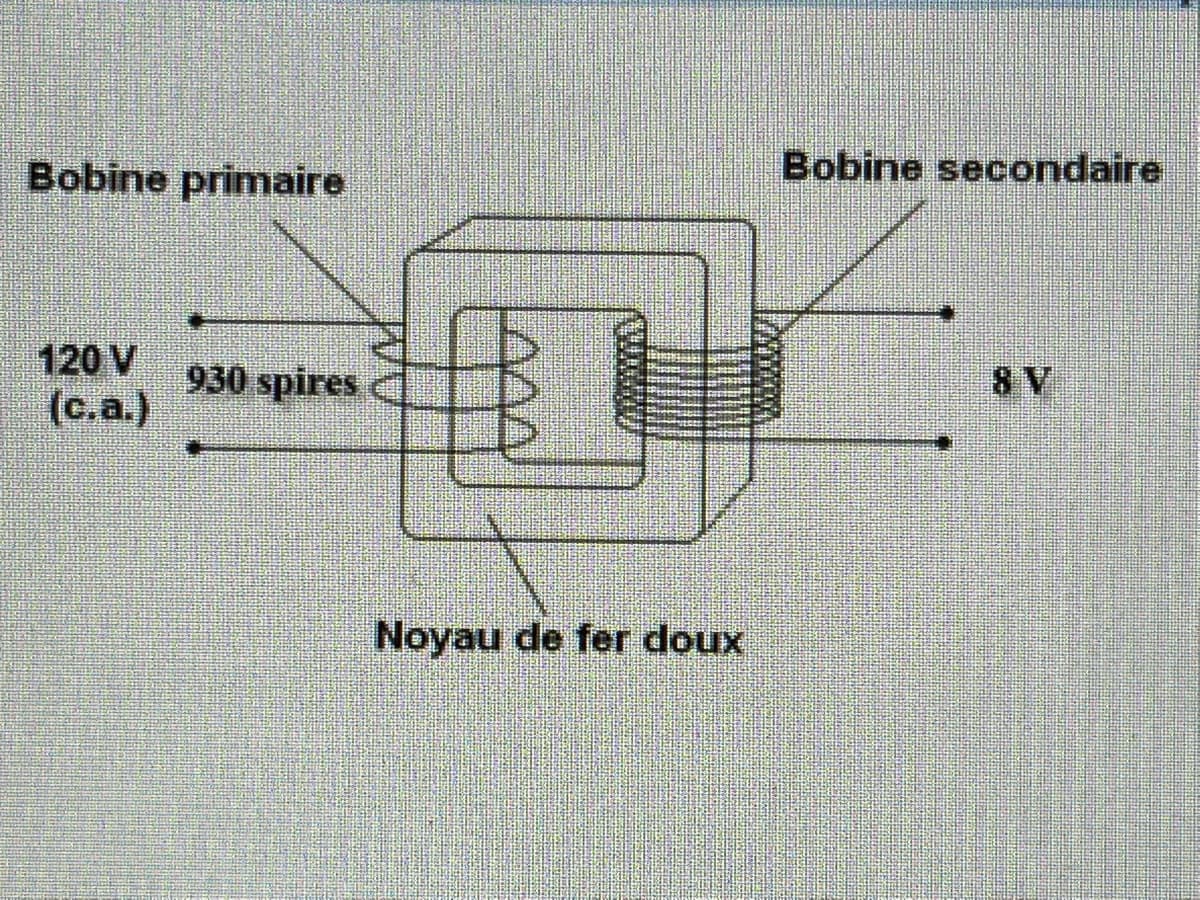 Bobine primaire
Bobine secondaire
120 V
930 spires
8V
(c.a.)
Noyau de fer doux
