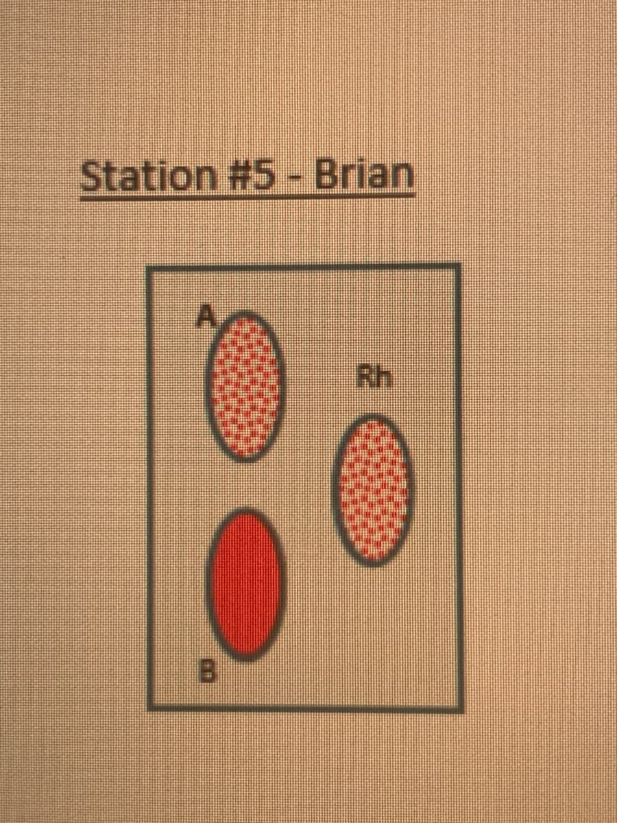 Station #5 - Brian
A.
Rh
