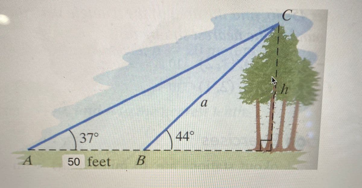 a
37°
44°
50 feet
B
