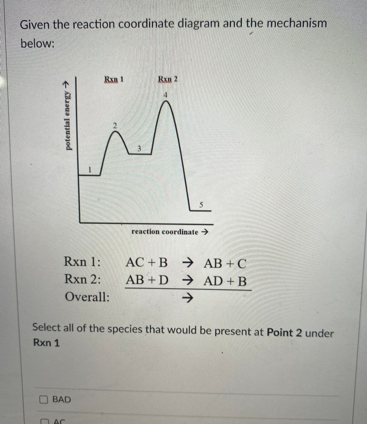 Given the reaction coordinate diagram and the mechanism
below:
Rxn 1
Bxn 2
21
reaction coordinate >
Rxn 1:
AC + B
У АВ + С
Rxn 2:
AB + D → AD+B
Overall:
->
Select all of the species that would be present at Point 2 under
Rxn 1
BAD
AC
potential energy>
