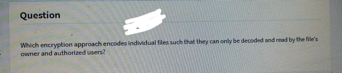 Question
Which encryption approach encodes individual files such that they can only be decoded and read by the file's
owner and authorized users?
