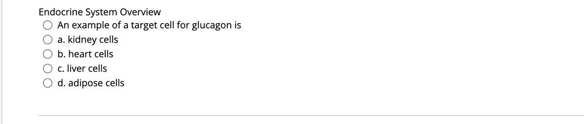Endocrine System Overview
O An example of a target cell for glucagon is
O a. kidney cells
O b. heart cells
O c. liver cells
O d. adipose cells
