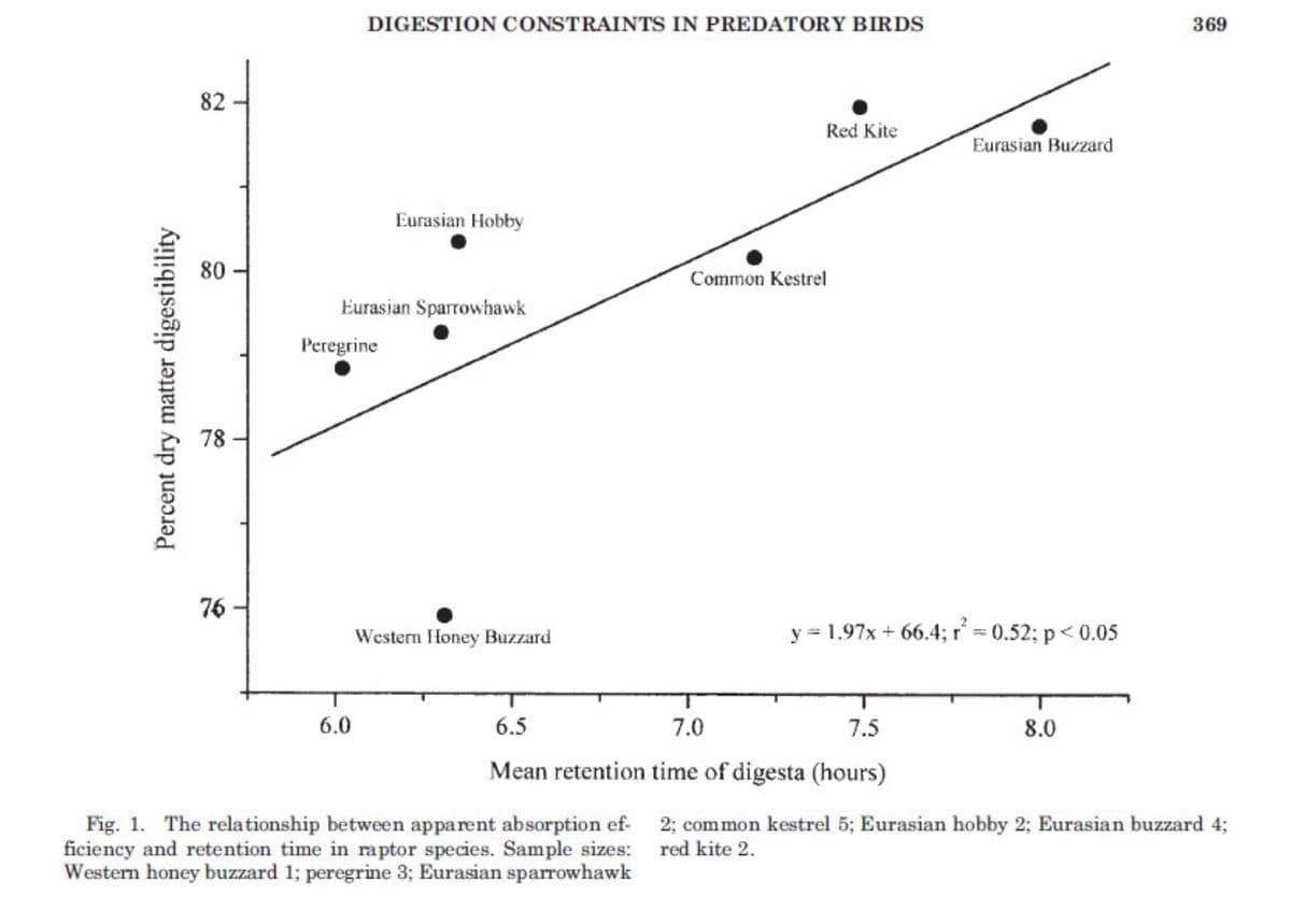 Percent dry matter digestibility
82
80
78
76
DIGESTION CONSTRAINTS IN PREDATORY BIRDS
Eurasian Sparrowhawk
Peregrine
6.0
Eurasian Hobby
Western Honey Buzzard
Fig. 1. The relationship between apparent absorption ef-
ficiency and retention time in raptor species. Sample sizes:
Western honey buzzard 1; peregrine 3; Eurasian sparrowhawk
Red Kite
Common Kestrel
y=
-1.97x+66.4; r² = 0.52; p < 0.05
6.5
7.0
7.5
Mean retention time of digesta (hours)
Eurasian Buzzard
8.0
369
2; common kestrel 5; Eurasian hobby 2; Eurasian buzzard 4;
red kite 2.