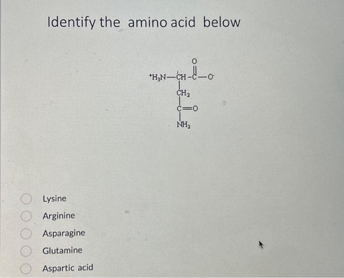 Identify the amino acid below
Lysine
Arginine
Asparagine
Glutamine
Aspartic acid
*H₂N-CH-
CH₂
C=0
NH₂