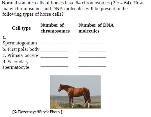 Normal somatic cells of horses have 64 chromosomes (2 n = 64). How
many chromosomes and DNA molecules will be present in the
following types of horse cells?
Number of DNA
molecules
Number of
Cell type
chromosomes
a.
Spermatogonium
b. First polar body.
c. Primary oocyte
d. Secondary
spermatocyte
[© Dozornaya/iStock Photo.]
