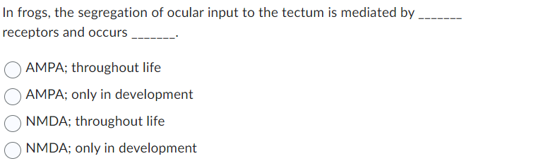 In frogs, the segregation of ocular input to the tectum is mediated by
receptors and occurs
AMPA; throughout life
AMPA; only in development
NMDA; throughout life
NMDA; only in development