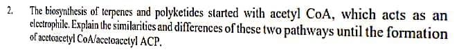 2.
The biosynthesis of terpenes and polyketides started with acetyl CoA, which acts as an
electrophile. Explain the similarities and differences of these two pathways until the formation
of acetoacetyl CoA/acetoacetyl ACP.
