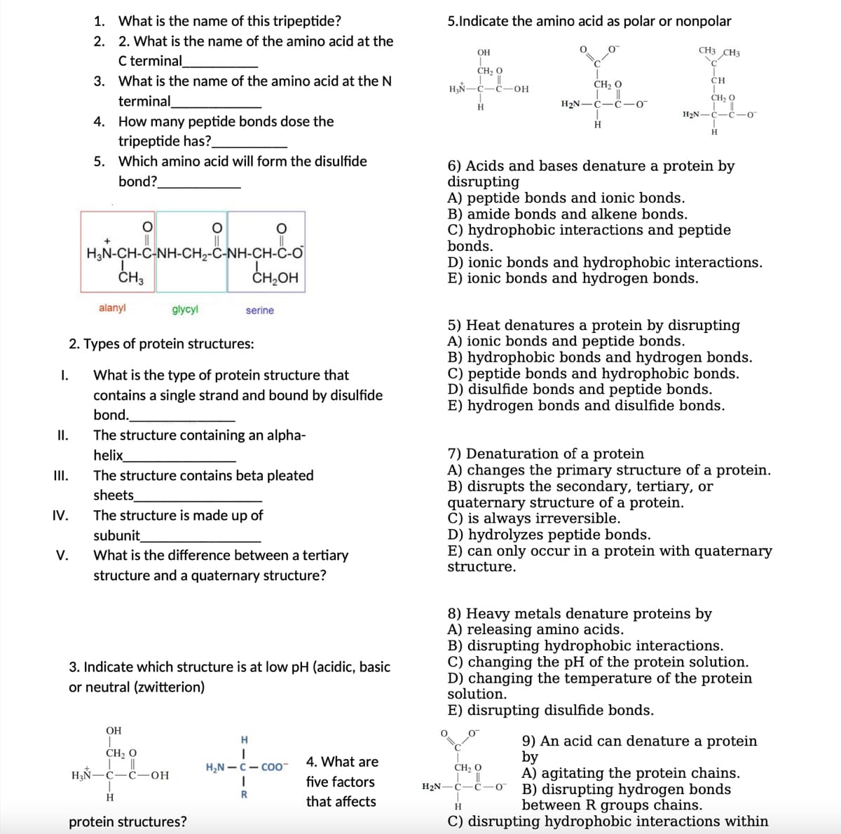 I.
II.
III.
IV.
1. What is the name of this tripeptide?
2.
2. What is the name of the amino acid at the
C terminal
3. What is the name of the amino acid at the N
terminal
V.
4. How many peptide bonds dose the
tripeptide has?
5. Which amino acid will form the disulfide
bond?
O
HƠN-CH-CANH-CH,-C-NH-CH-C-O
O
alanyl
CH3
2. Types of protein structures:
What is the type of protein structure that
contains a single strand and bound by disulfide
bond.
The structure containing an alpha-
helix_
The structure contains beta pleated
sheets
The structure is made up of
H₂N-
glycyl
H
OH
T
CH, O
||
C-OH
subunit
What is the difference between a tertiary
structure and a quaternary structure?
O
CH₂OH
serine
3. Indicate which structure is at low pH (acidic, basic
or neutral (zwitterion)
protein structures?
H
I
H₂N-C-COO™
1
R
4. What are
five factors
that affects
5.Indicate the amino acid as polar or nonpolar
OH
I
CH, O
H₂N-C-C-OH
H
H₂N-
CH, 0
C-
H
CH3 CH3
CH
CHÀO
!!
H₂N-C-C-0
6) Acids and bases denature a protein by
disrupting
A) peptide bonds and ionic bonds.
B) amide bonds and alkene bonds.
C) hydrophobic interactions and peptide
bonds.
0
H
D) ionic bonds and hydrophobic interactions.
E) ionic bonds and hydrogen bonds.
5) Heat denatures a protein by disrupting
A) ionic bonds and peptide bonds.
B) hydrophobic bonds and hydrogen bonds.
C) peptide bonds and hydrophobic bonds.
D) disulfide bonds and peptide bonds.
E) hydrogen bonds and disulfide bonds.
CH, 0
H₂N-C- -C-0
7) Denaturation of a protein
A) changes the primary structure of a protein.
B) disrupts the secondary, tertiary, or
quaternary structure of a protein.
C) is always irreversible.
D) hydrolyzes peptide bonds.
E) can only occur in a protein with quaternary
structure.
8) Heavy metals denature proteins by
A) releasing amino acids.
B) disrupting hydrophobic interactions.
C) changing the pH of the protein solution.
D) changing the temperature of the protein
solution.
E) disrupting disulfide bonds.
9) An acid can denature a protein
by
A) agitating the protein chains.
B) disrupting hydrogen bonds
between R groups chains.
H
C) disrupting hydrophobic interactions within