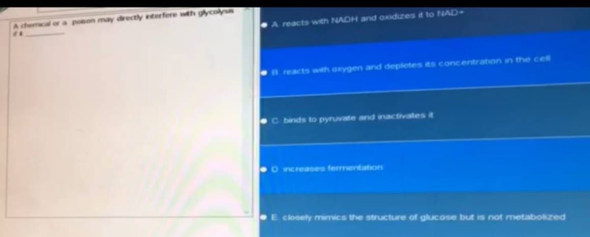 A chemical or a poison may directly interfere with glycolysis
A reacts with NADH and oxidizes it to NAD
B reacts with oxygen and depletes its concentration in the cell
C binds to pyruvate and inactivates it
O increases fermentation
E closely mimics the structure of glucose but is not metabolized