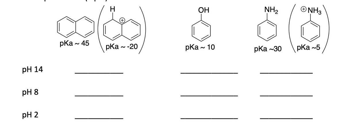 pH 14
pH 8
pH 2
pka ~ 45
H
pKa ~ -20
OH
pka ~ 10
|||
NH₂
pka -30
NH3
pKa-5