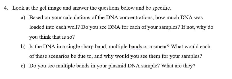 4. Look at the gel image and answer the questions below and be specific.
a) Based on your calculations of the DNA concentrations, how much DNA was
loaded into each well? Do you see DNA for each of your samples? If not, why do
you think that is so?
b) Is the DNA in a single sharp band, multiple bands or a smear? What would each
of these scenarios be due to, and why would you see them for your samples?
c) Do you see multiple bands in your plasmid DNA sample? What are they?
