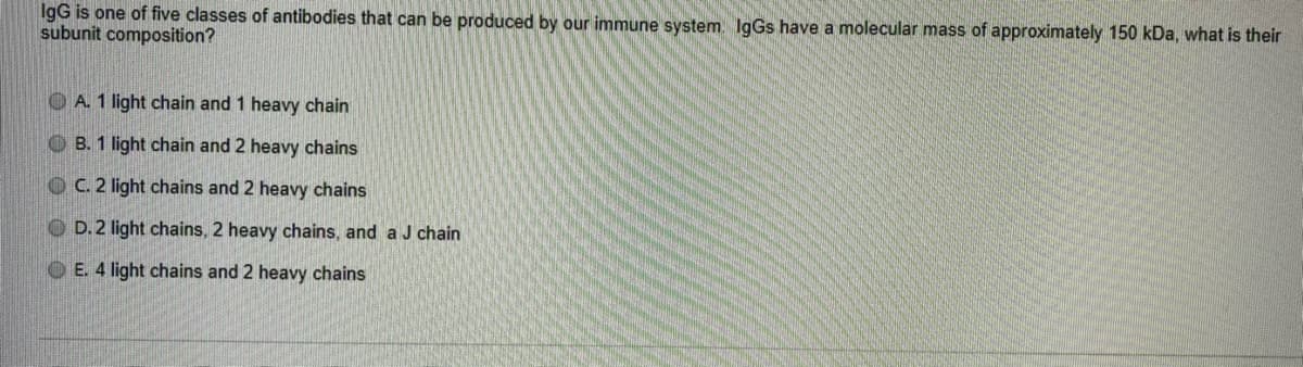 IgG is one of five classes of antibodies that can be produced by our immune system. I9GS have a molecular mass of approximately 150 kDa, what is their
subunit composition?
OA. 1 light chain and 1 heavy chain
O B. 1 light chain and 2 heavy chains
OC. 2 light chains and 2 heavy chains
O D. 2 light chains, 2 heavy chains, and a J chain
O E. 4 light chains and 2 heavy chains
