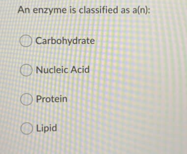 An enzyme is classified as a(n):
Carbohydrate
O Nucleic Acid
O Protein
O Lipid
