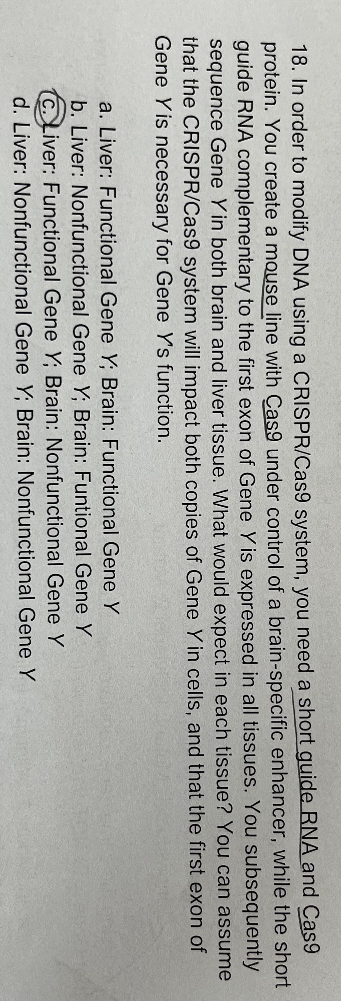 18. In order to modify DNA using a CRISPR/Cas9 system, you need a short guide RNA and Cas9
protein. You create a mouse line with Cas9 under control of a brain-specific enhancer, while the short
guide RNA complementary to the first exon of Gene Y is expressed in all tissues. You subsequently
sequence Gene Yin both brain and liver tissue. What would expect in each tissue? You can assume
that the CRISPR/Cas9 system will impact both copies of Gene Y in cells, and that the first exon of
Gene Yis necessary for Gene Y's function.
a. Liver: Functional Gene Y; Brain: Functional Gene Y
b. Liver: Nonfunctional Gene Y; Brain: Funtional Gene Y
C. Liver: Functional Gene Y; Brain: Nonfunctional Gene Y
d. Liver: Nonfunctional Gene Y; Brain: Nonfunctional Gene Y
