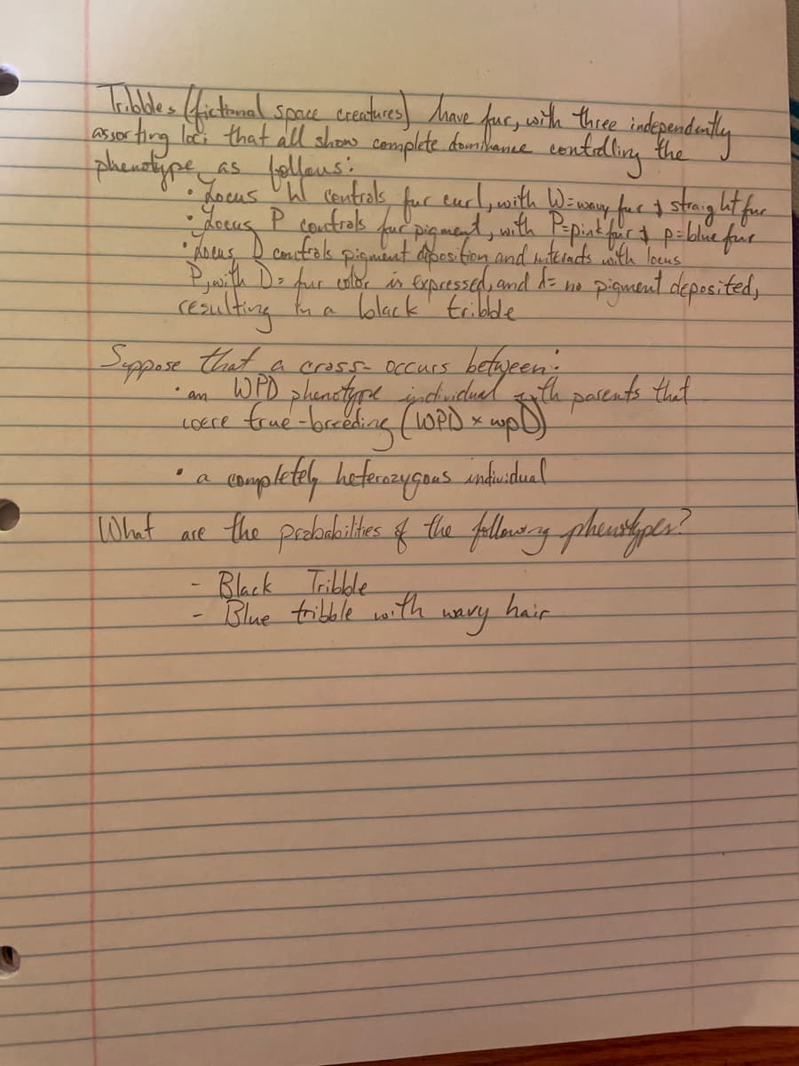 O
Tribbles (fictional space creatures) have four, with three independently
assorting loc. that all shows complete dominance controlling the
phenotype as follows:
• Locus P controls
fur curl, with W=way fur & straight fur
four pigment, with P-pink fur + p=blue four
• Locus I controls pigment deposition and withincts with loens
P, with D = four color is expressed, and d= no pigment deposited,
resulting in a black tribble
centrals
Suppose that a crass- occurs
betogeeni posents that
WPD
phenotype individual with
coere frue -bocceding (10PD) x upD)
• an
• a
completely heterozygous individual
What are the probabilties of the follow y phenstypes ?
Black Tribble
Blue tribble with
wavy
hair