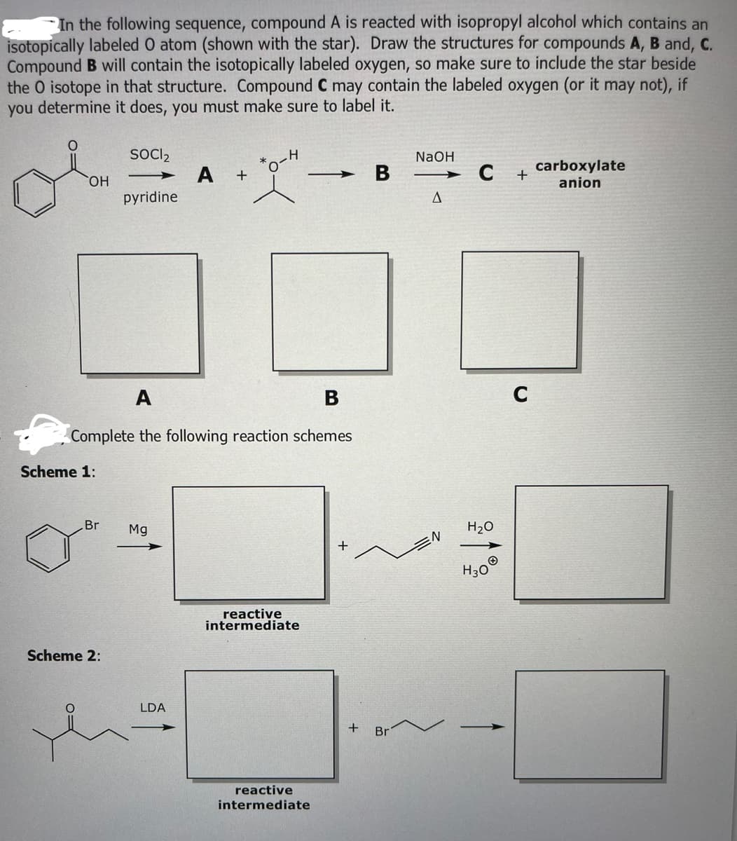 In the following sequence, compound A is reacted with isopropyl alcohol which contains an
isotopically labeled O atom (shown with the star). Draw the structures for compounds A, B and, C.
Compound B will contain the isotopically labeled oxygen, so make sure to include the star beside
the 0 isotope in that structure. Compound C may contain the labeled oxygen (or it may not), if
you determine it does, you must make sure to label it.
OH
Scheme 1:
Br
SOCI₂
Scheme 2:
pyridine
A
B
Complete the following reaction schemes
Mg
A +
LDA
H
reactive
intermediate
reactive
intermediate
B
+ Br
NaOH
→ С
A
N
H₂O
H30
+
C
carboxylate
anion