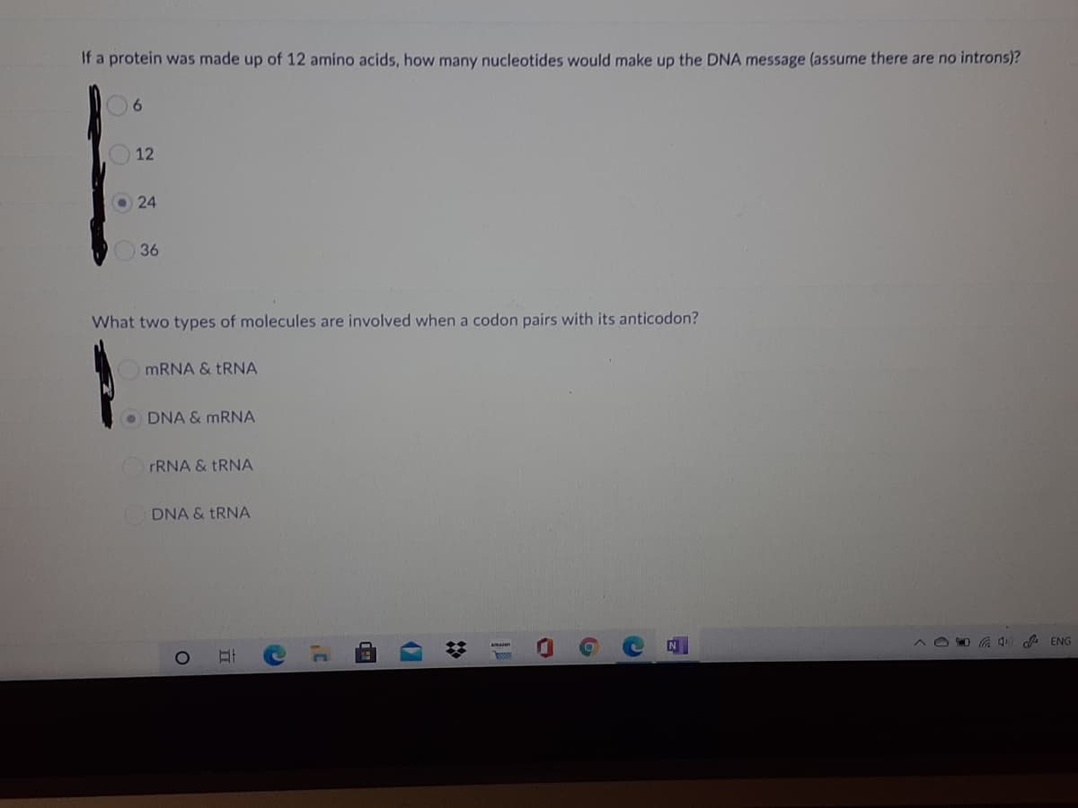 If a protein was made up of 12 amino acids, how many nucleotides would make up the DNA message (assume there are no introns)?
12
24
36
What two types of molecules are involved when a codon pairs with its anticodon?
MRNA & TRNA
O DNA & MRNA
FRNA & TRNA
DNA & TRNA
N
A ENG
17
