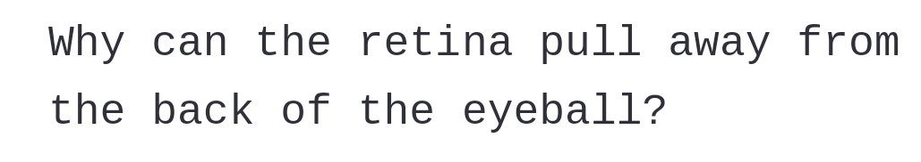 Why can the retina pull away from
the back of the eyeball?
