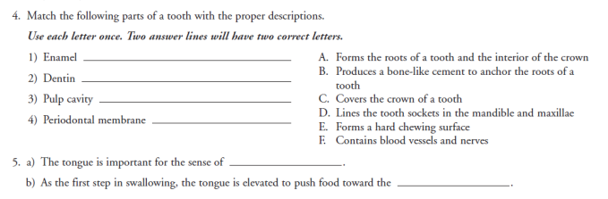 4. Match the following parts of a tooth with the proper descriptions.
Use each letter once. Two answer lines will have two correct letters.
1) Enamel
A. Forms the roots of a tooth and the interior of the crown
own
B. Produces a bone-like cement to anchor the roots of a
tooth
C. Covers the crown of a tooth
2) Dentin
3) Pulp cavity
D. Lines the tooth sockets in the mandible and maxillae
E. Forms a hard chewing surface
E Contains blood vessels and nerves
4) Periodontal membrane
5. a) The tongue is important for the sense of
b) As the first step in swallowing, the tongue is elevated to push food toward the
