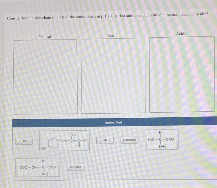 Considering the side chain of each of the amino acids at pH 7.4, is that amino acid classified at neutral, basic, or acidic?
Pro
Neutral
HO
OOC-CH₂ C-COO
NH3
NH₂
CH₂-CH-C-0
0=0
histidine
Basic:
Answer Bank
Gin
glutamate
H
H₂C-C-COO
NH₂
Acidic