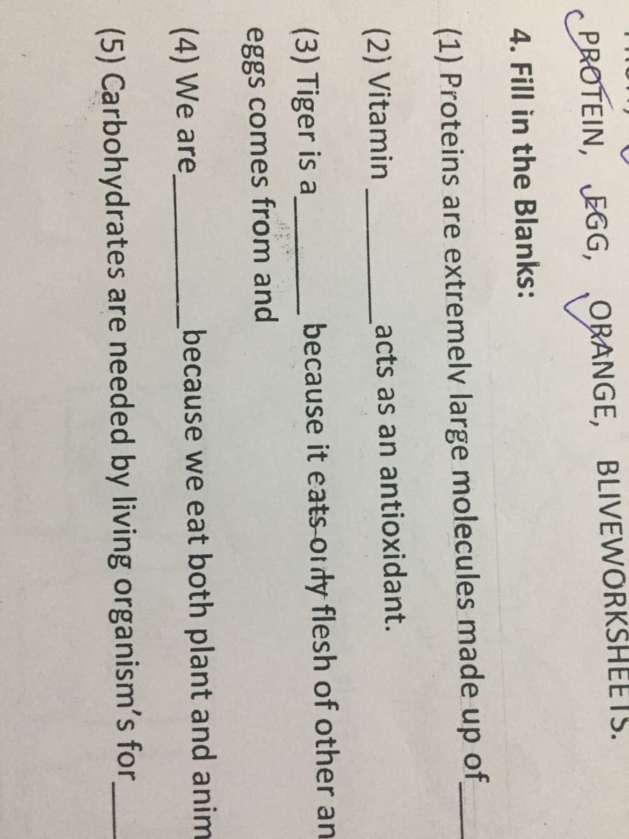 PROTEIN, JEGG, ORANGE, BLIVEWORKSHEETS.
4. Fill in the Blanks:
(1) Proteins are extremely large molecules made up of
(2) Vitamin
acts as an antioxidant.
(3) Tiger is a
because it eats-or dy flesh of other an
eggs comes from and
(4) We are
because we eat both plant and anim
(5) Carbohydrates are needed by living organism's for
