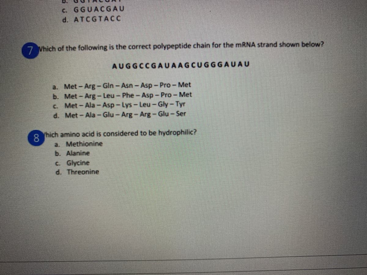 c. GGUACGAU
d. ATCGTACC
7 Which of the following is the correct polypeptide chain for the mRNA strand shown below?
AUGGCCGAUAAGCUGGG AUAU
a. Met- Arg - Gin-Asn- Asp - Pro - Met
b. Met-Arg- Leu- Phe-Asp- Pro-Met
c. Met-Ala - Asp- Lys-Leu - Gly- Tyr
d. Met-Ala- Glu- Arg-Arg- Glu- Ser
Yhich amino acid is considered to be hydrophilic?
8
a. Methionine
b. Alanine
c. Glycine
d. Threonine
