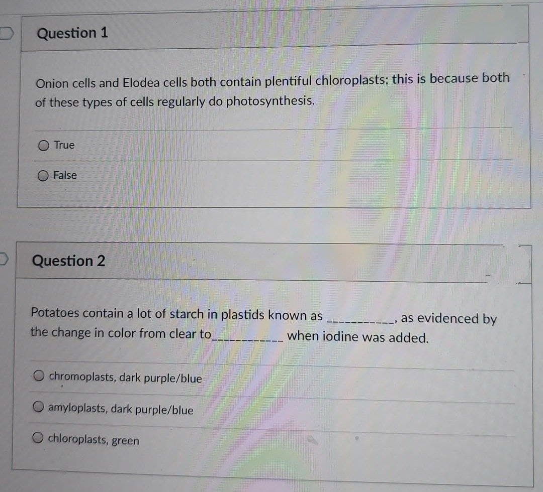 Question 1
Onion cells and Elodea cells both contain plentiful chloroplasts; this is because both
of these types of cells regularly do photosynthesis.
True
False
Question 2
Potatoes contain a lot of starch in plastids known as
as evidenced by
the change in color from clear to
when iodine was added.
chromoplasts, dark purple/blue
O amyloplasts, dark purple/blue
O chloroplasts, green
