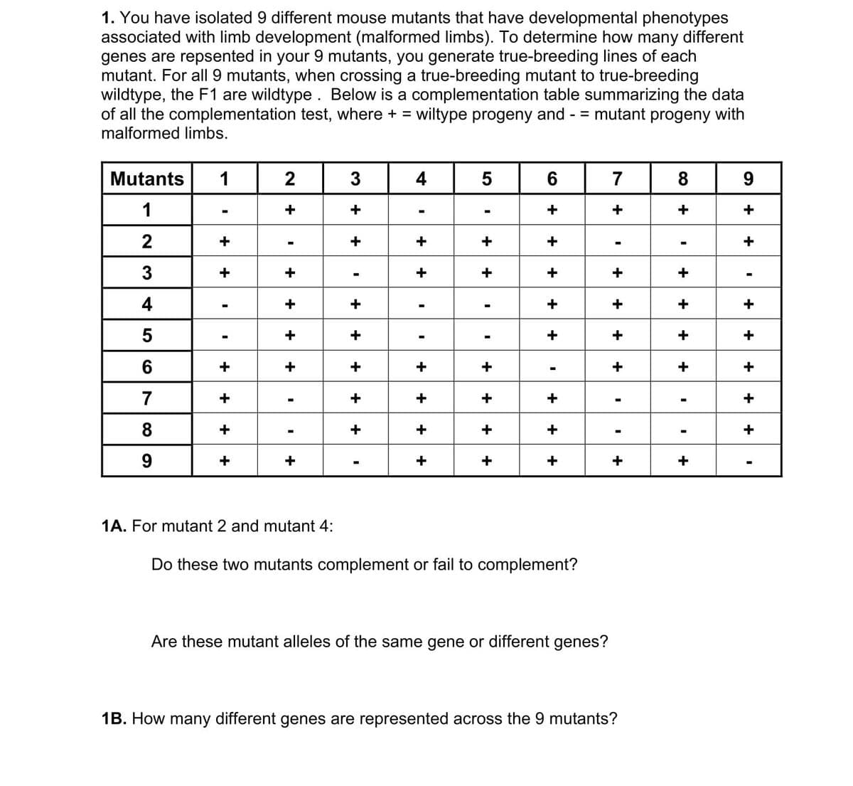 1. You have isolated 9 different mouse mutants that have developmental phenotypes
associated with limb development (malformed limbs). To determine how many different
genes are repsented in your 9 mutants, you generate true-breeding lines of each
mutant. For all 9 mutants, when crossing a true-breeding mutant to true-breeding
wildtype, the F1 are wildtype. Below is a complementation table summarizing the data
of all the complementation test, where + = wiltype progeny and - mutant progeny with
malformed limbs.
Mutants 1
1
2
3
4
5
6
7
8
9
+
+
+
+
+
+
2
+
I
+
+
+
+
I
+
1A. For mutant 2 and mutant 4:
3
+
+
+
+
+
+ +
4
+
+
+
+
+
+
5 6
+
+
I
+
+
+
+
+
+
+
+
+
Do these two mutants complement or fail to complement?
Are these mutant alleles of the same gene or different genes?
7
+
+
+
+
+
1B. How many different genes are represented across the 9 mutants?
89
+
+
+
+
+
-
+
+
+
+ +
+
+
+