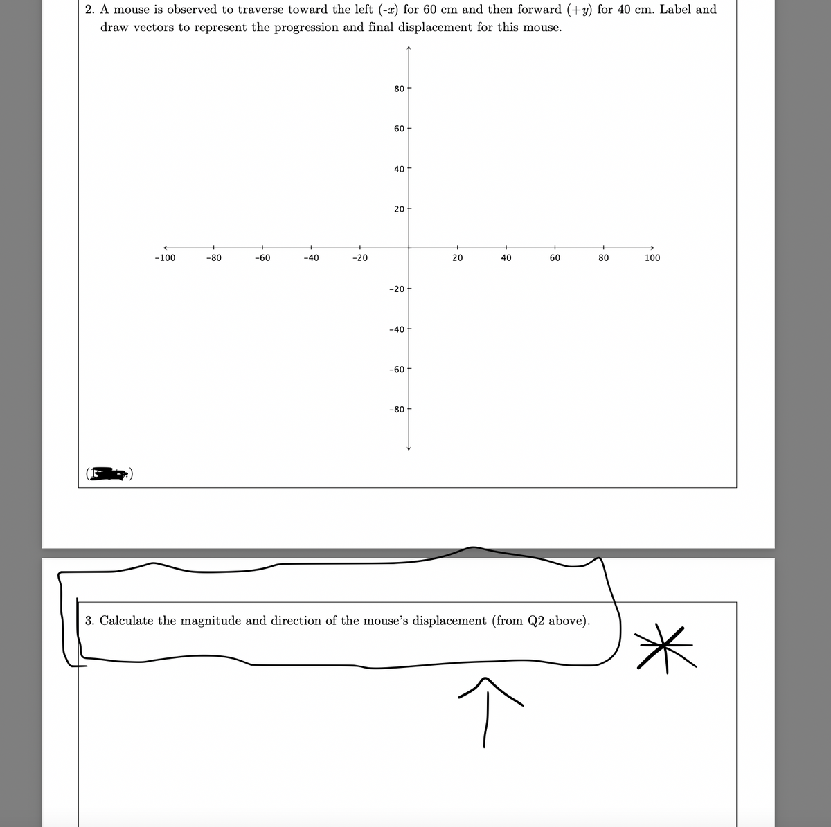 2. A mouse is observed to traverse toward the left (-x) for 60 cm and then forward (+y) for 40 cm. Label and
draw vectors to represent the progression and final displacement for this mouse.
-100
-80
-60
-40
-20
80
60
40
20
-20
-40
-60
-80-
20
40
60
3. Calculate the magnitude and direction of the mouse's displacement (from Q2 above).
80
100
*