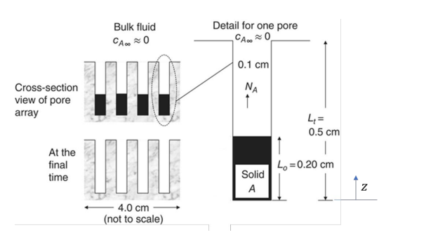 Cross-section
view of pore
array
At the
final
time
ORD
Bulk fluid
CA≈ 0
w
4.0 cm
(not to scale)
Detail for one pore
CAO
0.1 cm
ΝΑ
Solid
A
4=
0.5 cm
↑
I
L₁ = 0.20 cm
N