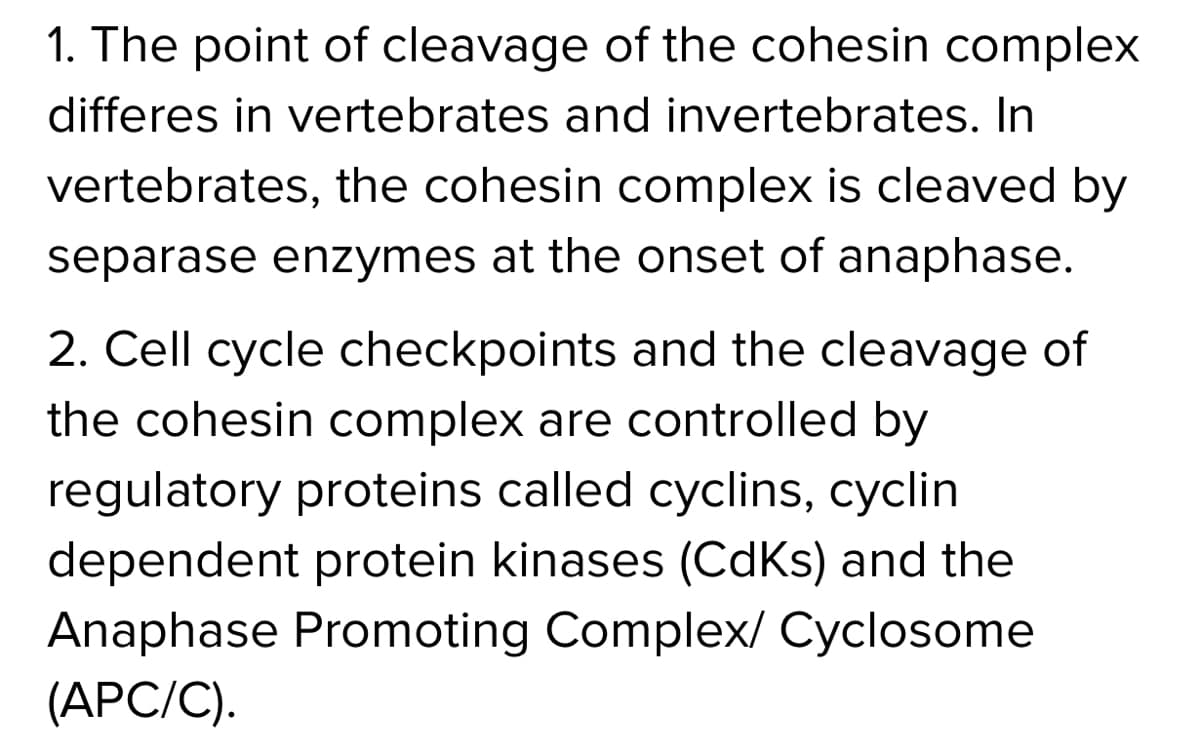 1. The point of cleavage of the cohesin complex
differes in vertebrates and invertebrates. In
vertebrates, the cohesin complex is cleaved by
separase enzymes at the onset of anaphase.
2. Cell cycle checkpoints and the cleavage of
the cohesin complex are controlled by
regulatory proteins called cyclins, cyclin
dependent protein kinases (CdKs) and the
Anaphase Promoting Complex/ Cyclosome
(АРC/C).
